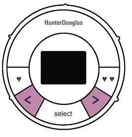 Select the right and left arrows to scroll through available scenes..png