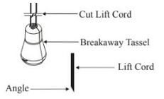 Remove the Old Tassel.jpg